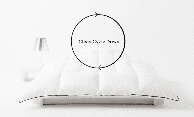 #6 なぜClean Cycle Downを始めたのか。