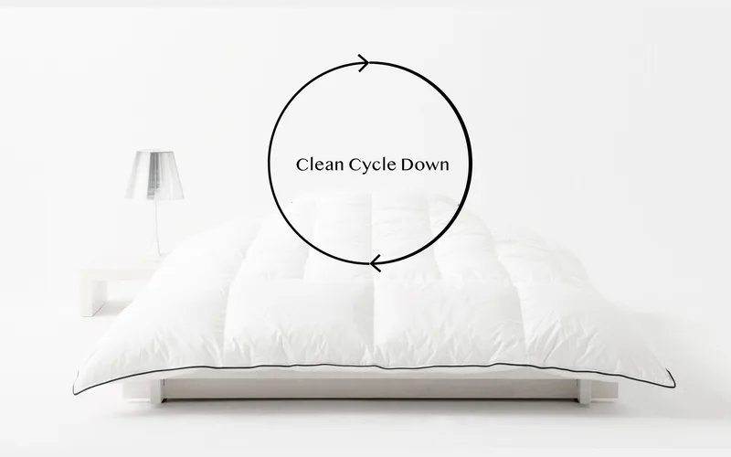Clean Cycle Down 〜新品羽毛を超える美しさ〜