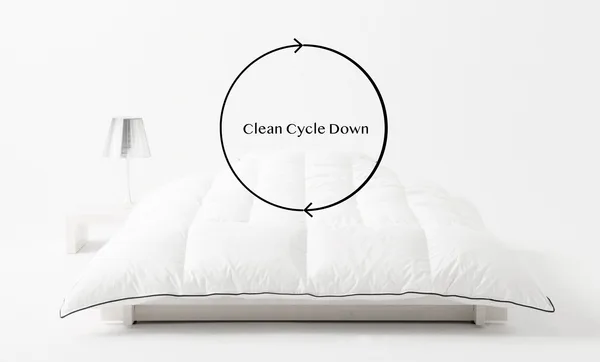 Clean Cycle Down 〜新品羽毛を超える美しさ〜