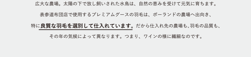 広大な農場。太陽の下で放し飼いされた水鳥は、自然の恵みを受けて元気に育ちます。表参道布団店で使用するプレミアムグースの羽毛は、ポーランドの農場へ出向き、特に良質な羽毛を選別して仕入れています。だから仕入れ先の農場も、羽毛の品質も、その年の気候によって異なります。つまり、ワインの様に繊細なのです。