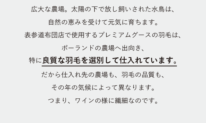 広大な農場。太陽の下で放し飼いされた水鳥は、自然の恵みを受けて元気に育ちます。表参道布団店で使用するプレミアムグースの羽毛は、ポーランドの農場へ出向き、特に良質な羽毛を選別して仕入れています。だから仕入れ先の農場も、羽毛の品質も、その年の気候によって異なります。つまり、ワインの様に繊細なのです。